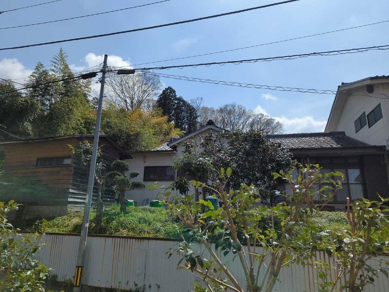 leopalace Sachi 전망