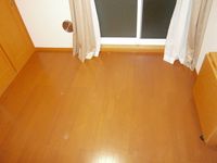 レオパレスサツキ 居間