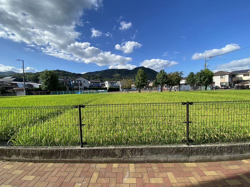 レオパレスフォレスター 眺望
