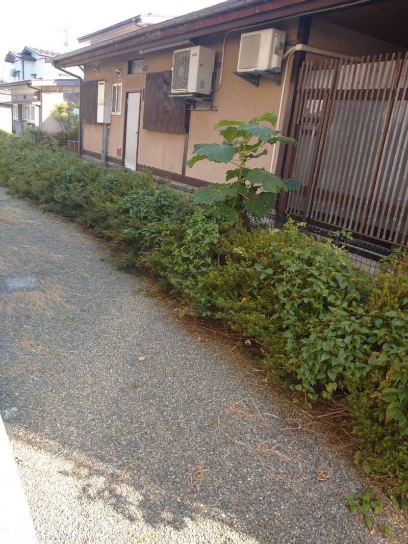 レオパレス中村 undefined