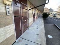 leopalace Noble Other