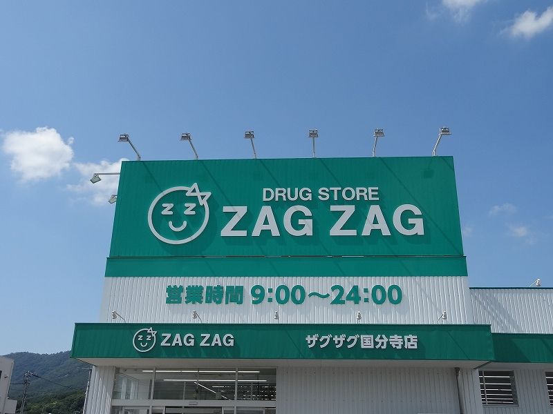 レオパレスソレアード国分寺 周辺環境