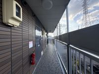 leopalace Suzukaze Other