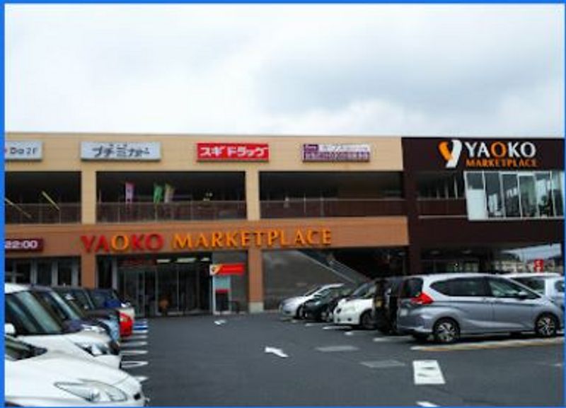レオネクストアマービレ 周辺環境