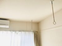 レオネクストシベール その他