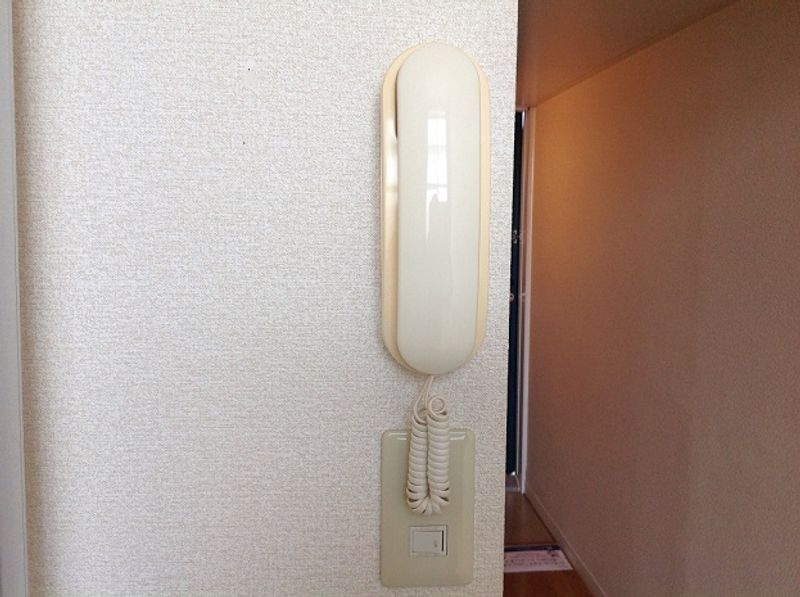 レオパレスグリーンフラワーⅡ セキュリティ