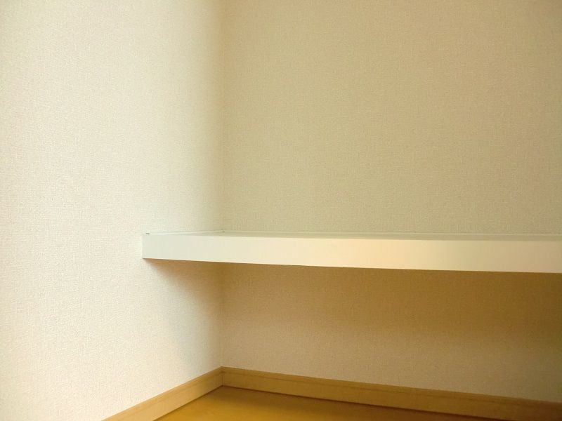 レオネクストミナミ 収納