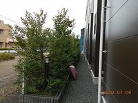 レオパレスみどり 庭