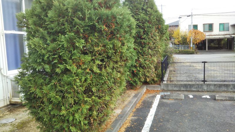 レオパレスエイトランド 庭