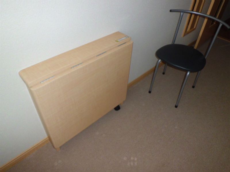 レオネクスト深針 その他