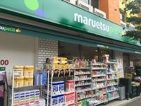 レオネクスト上鷺 周辺環境