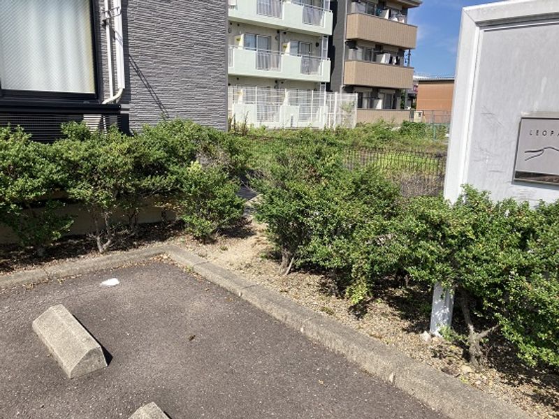 レオパレスクレーネ 庭