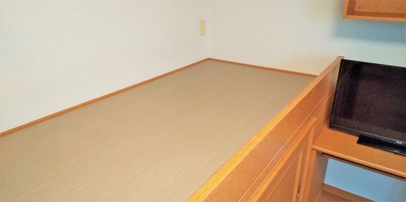 レオパレスみどり その他