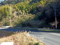 レオパレスＫＡＺＵ 眺望