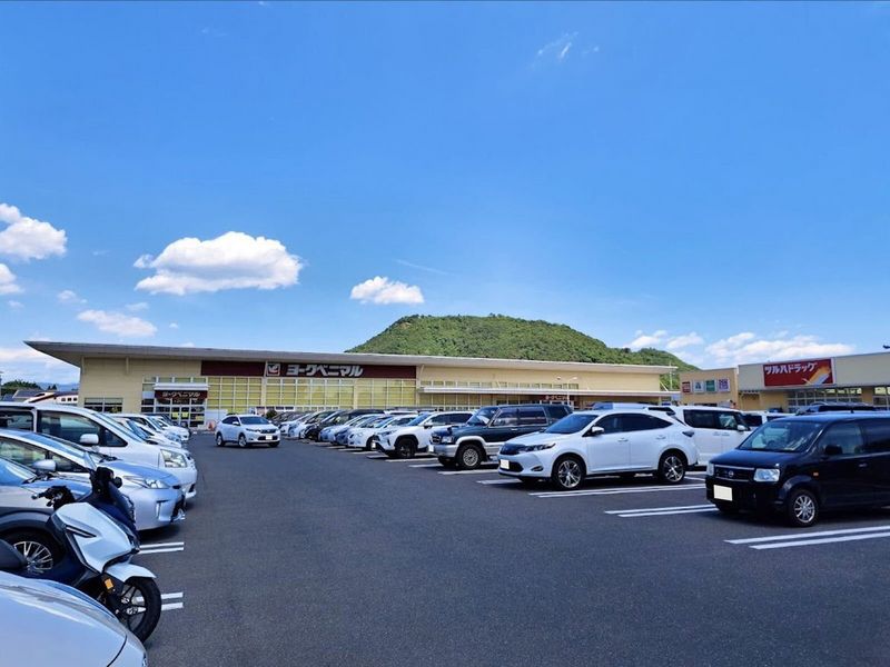 レオパレスウエストゲート　野田 周辺環境