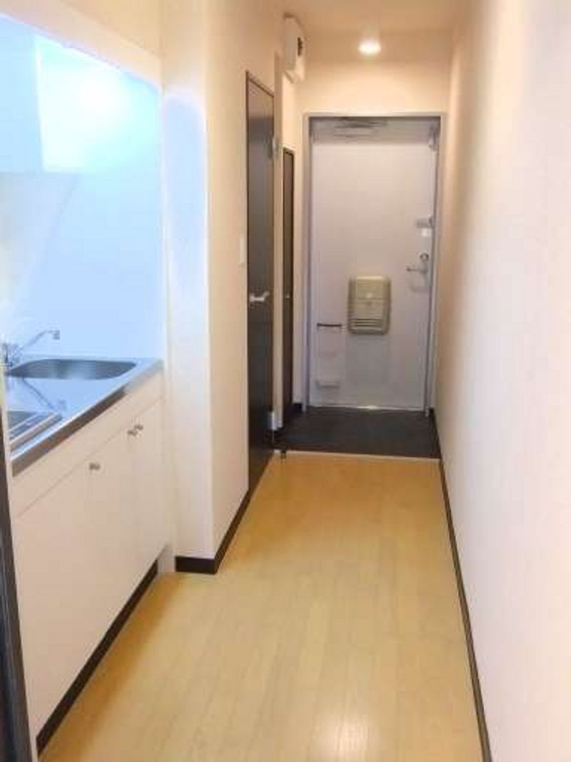 レオネクストステラ その他
