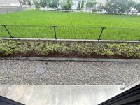 レオパレスヒガシノナミ バルコニー