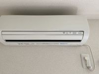 leopalace Genesis Khác