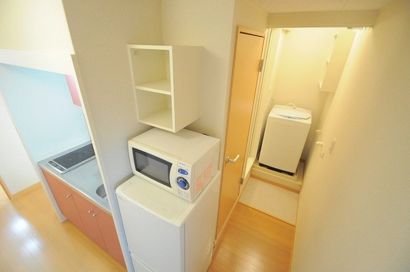 レオネクストフキ その他
