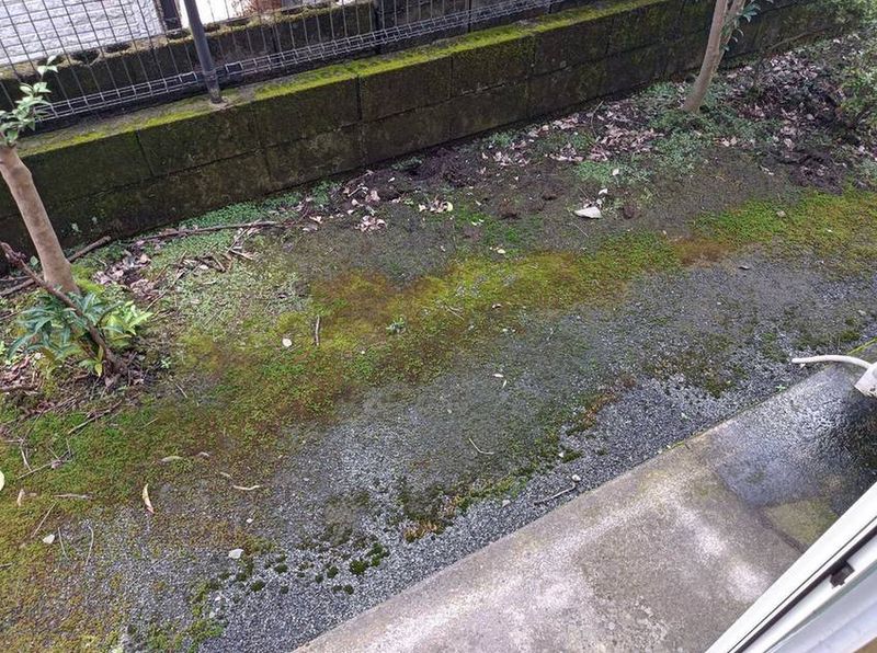 レオパレスＷｉｌｌｎｅｓｓ．Ｉ バルコニー