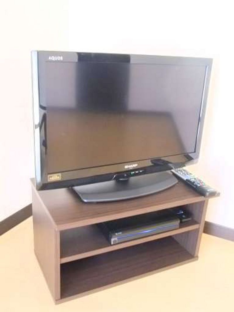 レオネクストステラ その他