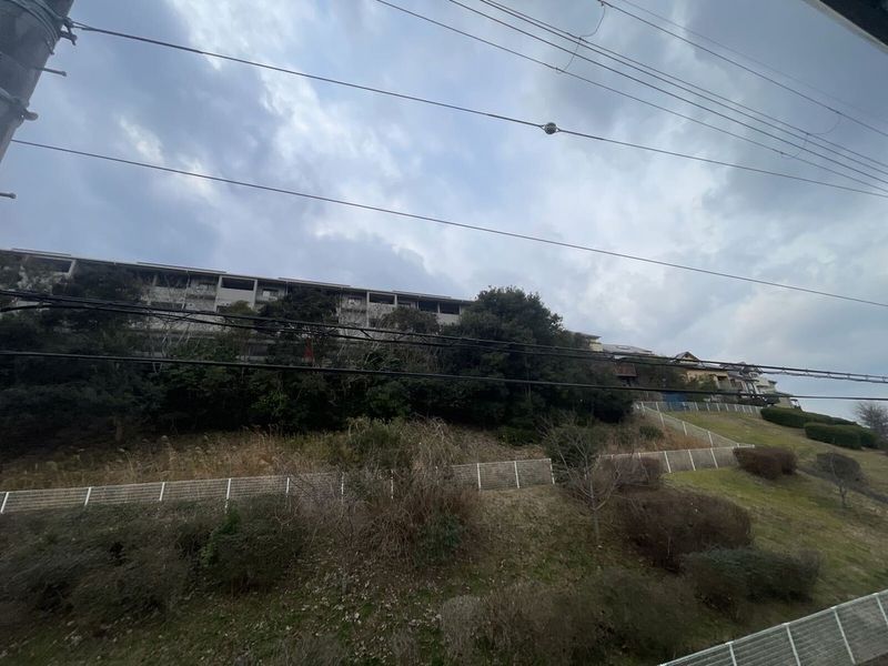 LEONEXT Lupo Tầm nhìn