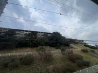 LEONEXT Lupo Tầm nhìn