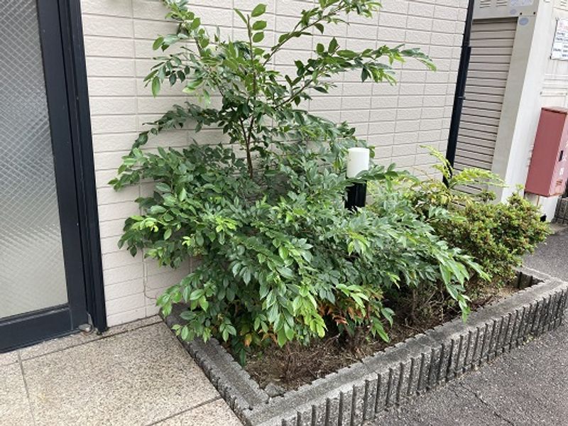 レオパレス新開 庭