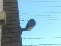 MIRANDA Falconer I Shared spaces