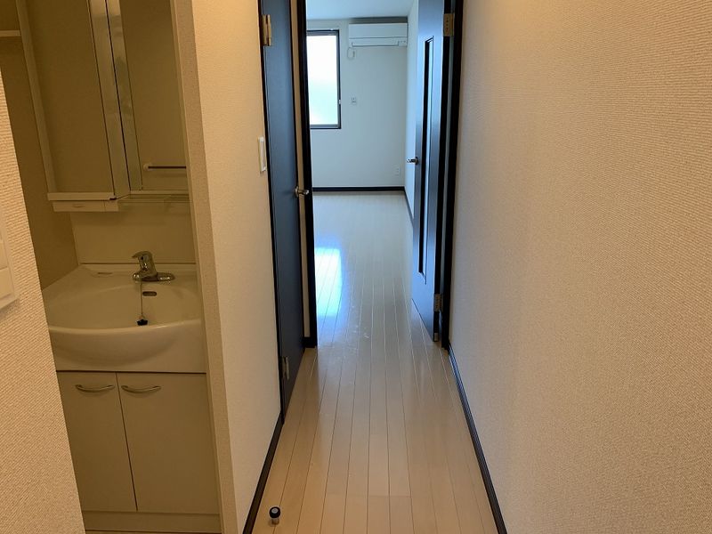 レオネクストパンプキン その他