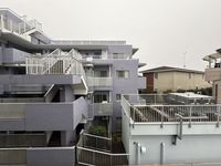 leopalace SILK 视野