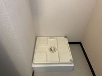 LEONEXT Silvian 其他