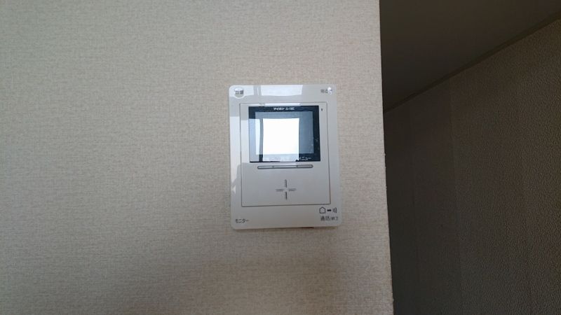 レオネクストパークサイドあおい セキュリティ