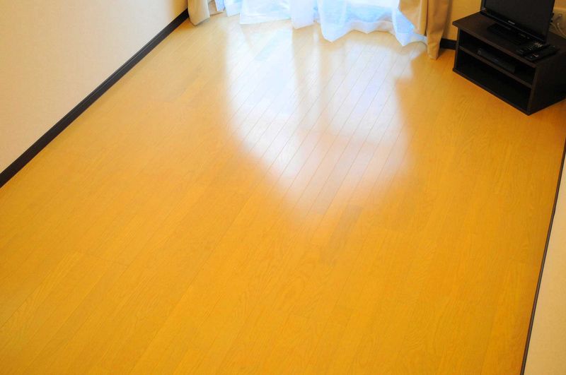 レオネクスト江坂ハイツ 居間
