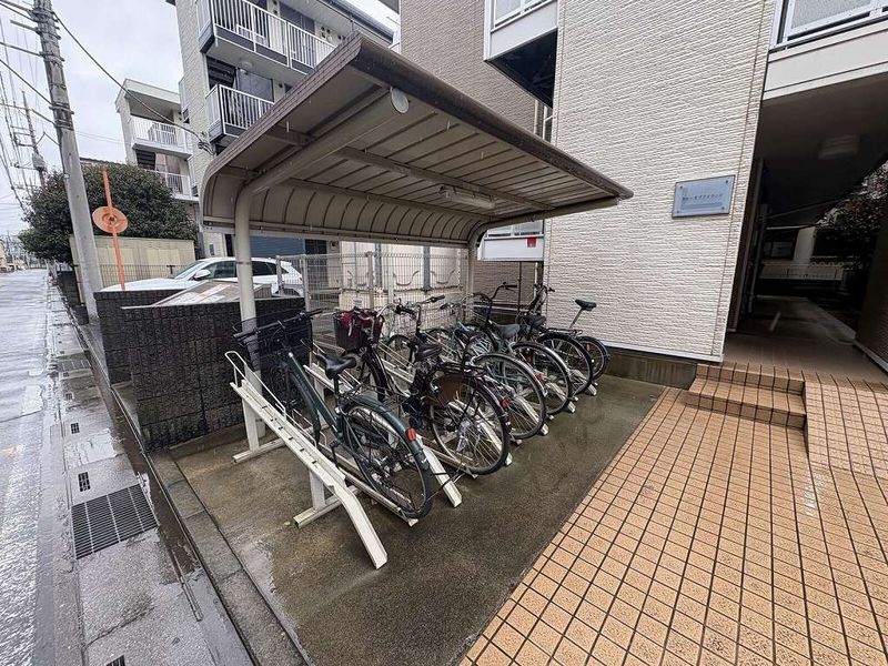 leopalace Crew of Island Shared spaces