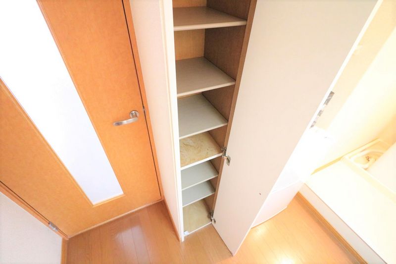 レオパレスタウンディ 収納