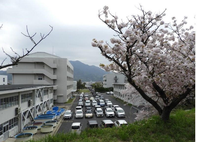 レオパレスメゾンセントプレチア 周辺環境