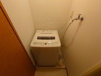 leopalace Blue Wood 기타