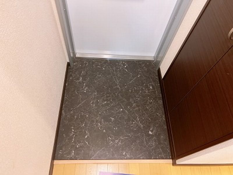 レオネクストめふ 玄関