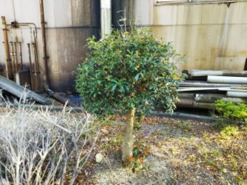 レオパレス甘木川 その他