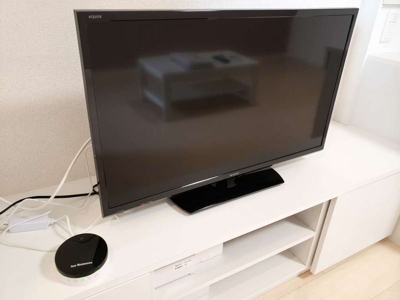 ミランダヴェルデ その他