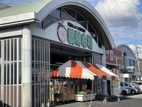 レオパレス住吉 周辺環境