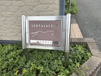 leopalace Lapis Light Other