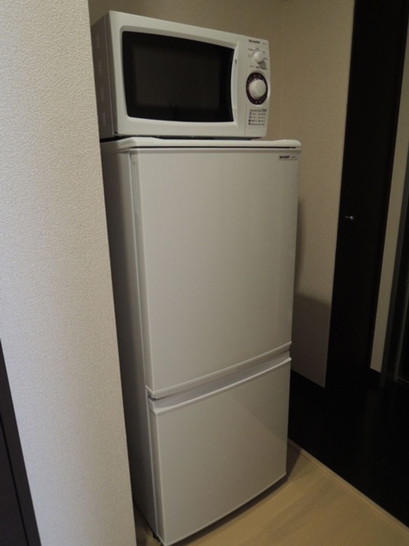 レオネクストラメール その他