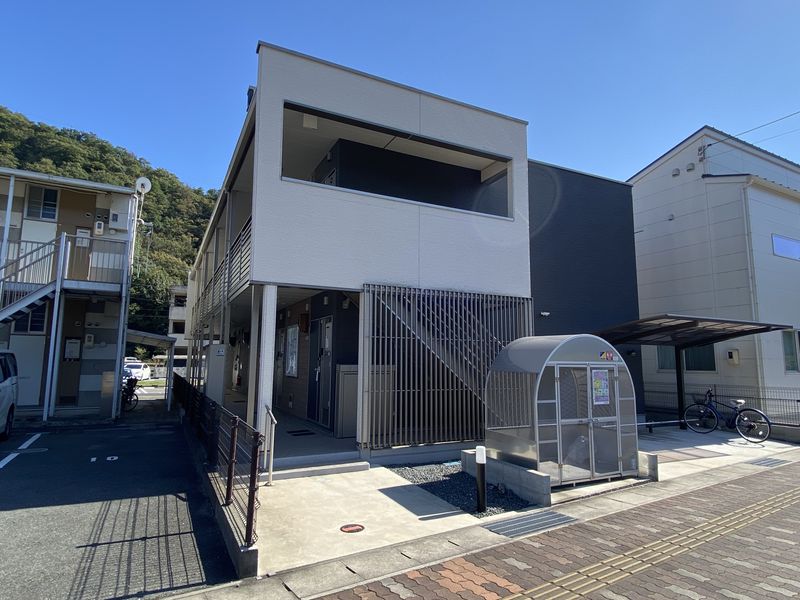 クレイノファレノプシス 外観