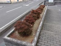 レオパレス中屋敷Ａ 庭