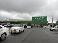 LEONEXT Musk Rose Surrounding area