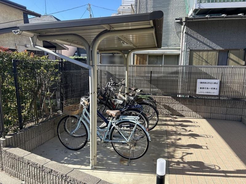 CLEINO Chat Blanc Petit 공용 부분