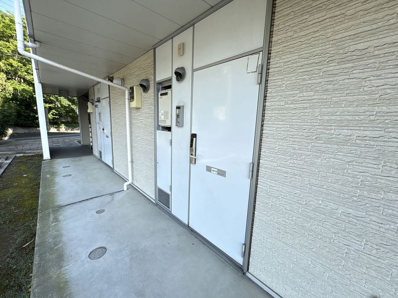 leopalace Comfort M Other