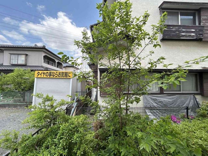 leopalace Sunheim II 视野